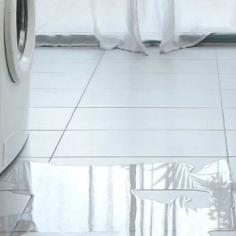 Appliance Leak Cleanup in Albion, MI