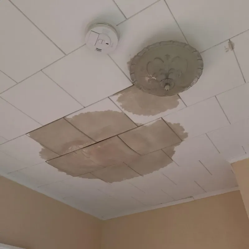 Ceiling Water Damage Repair in Albion, MI