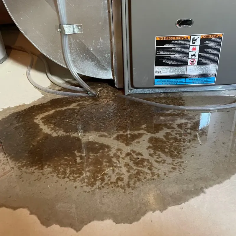 Pipe Burst and Leak Restoration in Albion, MI