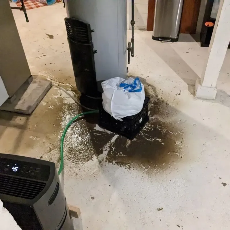 Sewage Backup Cleanup Service in Albion, MI